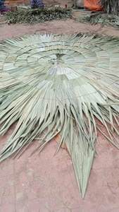 Sombrilla Plegable de Techo de Paja para Jardín/Patio de 1.8m, Fabricada en Vietnam, Venta al por Mayor para Exportación - Product Image 2