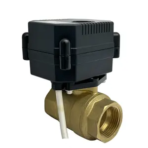 Pasokan produsen 12V/24V listrik digerakkan kontrol bermotor DN20 1/2 3/4 inci SS kuningan PVC katup bola