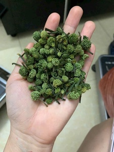 Vente en gros de fleurs séchées de haute qualité Panax Ginseng et Pseudoginseng pour le bien-être - Product Image 5