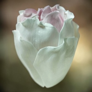 VADEE SOLA WOOD <b>FLOWER</b> SET ROSE <b>Diffuser</b> 6.5CM Color Soft Pink Sesbania Plant Fiber Rod Aromatherapy Handmade Sustainable Craft - Product Image 3