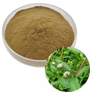Polvo Puro de Hoja de Bhringraj a Granel, Polvo Herbal Natural de Eclipta Prostrata para Mascarillas Capilares, Champú Herbal y Cuidado Capilar Ayurvédico - Product Image 3