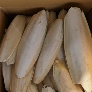 Os de seiche séché naturellement pour cage à oiseaux et usage domestique - Product Image 1