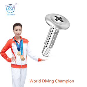 Đầu Giàn Khoan Vít Đầu Wafer Vít Tự Khoan Cho Tấm Kim Loại Thép Cacbon, Vít Ss 304 Tek Với Đầu Giàn - Product Image 3