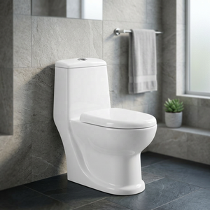Ensemble WC monobloc en céramique avec siphon, anti-odeur, anti-gel, anti-fissuration, à poser au sol, pour salle de bain, vente en gros - Product Image 6