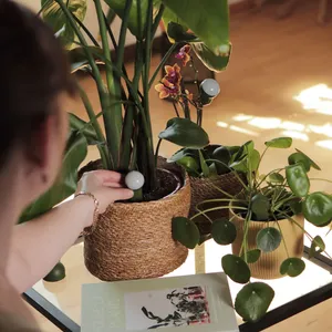 เครื่องวัดความชื้นในดิน CITICITY สำหรับพืชในบ้าน เซ็นเซอร์วัดความชื้นในดินแบบสองขา สำหรับสวนและพืช ใช้งานง่าย อ่านค่าได้ชัดเจน - Product Image 6