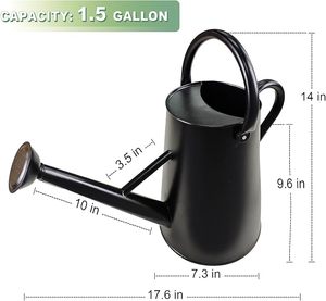 Arrosoir en métal au design tendance et élégant, grande capacité de stockage, idéal pour l'entretien des plantes de jardin et des pelouses en extérieur - Product Image 2