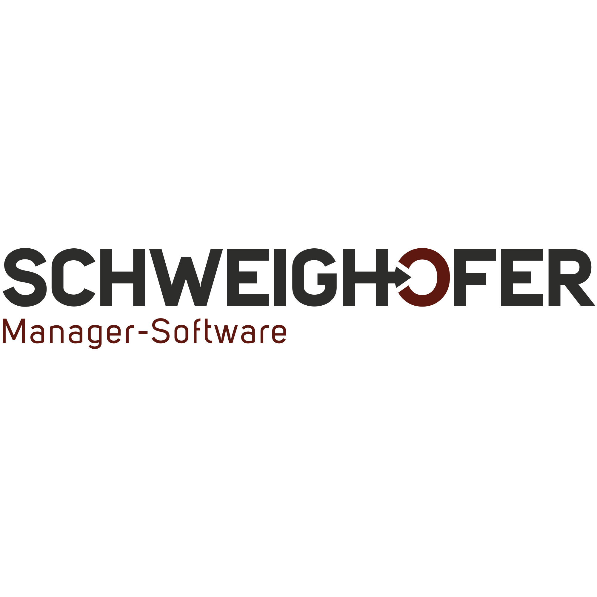 Schweighofer Manager-Software GmbH logo