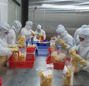 Vietnam Mango Premium Quality IQF Type Customize Cutting Shape Natural Sweet, IQF Mango <b>Dice</b> - CARYLN - Product Image 4