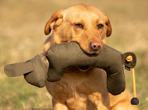 Dummy d'entraînement réaliste pour chiens de chasse, avec corps en fourrure et queue orange, cible en tissu durable, taille unique, couleur unie - Product Image 5