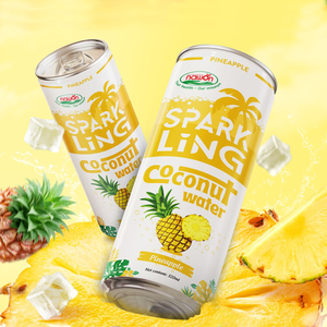 Fournisseur OEM, eau de coco pétillante aromatisée à l'ananas en conserve, marque privée, 320 ml, vente en gros, fabricant ODM - Product Image 5