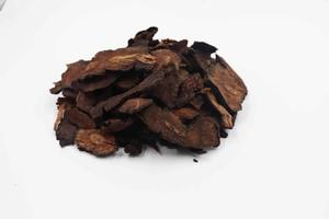 Venta al por mayor POLYGONUM ROOT 100% Polygonum natural precio al por mayor Holiday - Product Image 6