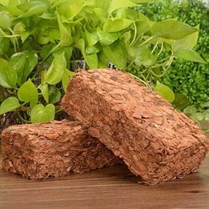 Copeaux de coco biodégradables de qualité supérieure pour horticulture, substrat pour orchidées, mélange de rempotage pour orchidées - Product Image 3