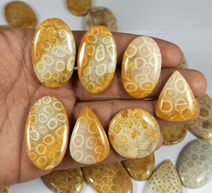 Natural Fossil Coral Loose Gemstone 20-35mm Yellow Mix Shapes for Jewelry Designing Wholesale Price - Product Image 5