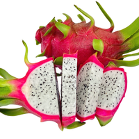 Verse Vietnamese Drakenfruit Pitaya Groothandel, Premium Kwaliteit, Bulk Levering voor Export