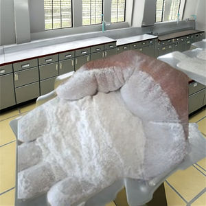 Polvo de Mármol Blanco Ultrafino - Carbonato de Calcio Natural (GCC) Caco3 Grado Industrial 85%-95% de Pureza para Recubrimientos de Pintura - Product Image 3