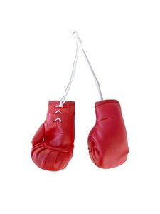 Gants de boxe rouges et blancs avec fermeture auto-agrippante pour l'entraînement aux arts martiaux - Product Image 3