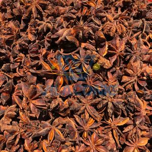 Anís estrellado kosher premium de Yen Bai, Vietnam |   Cosecha de Otoño-Primavera, 13.5% de Humedad |   Caja de Cartón de 7-10 kg |   Celeste VILACONIC - Product Image 2