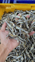 Exportation d'anchois séchés-produits sélectionnés pour leur commodité, leur compacité, leur saveur naturelle et leur haute qualité