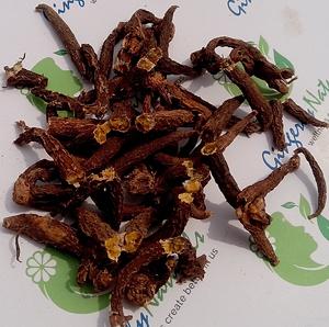 Raíces de Roscoea Procera a granel - Product Image 3