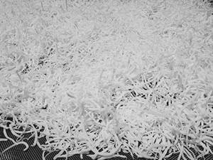 Precio de Fábrica, Coco Deshidratado en Flocos/Chispas Finas/Medianas, Alto Contenido de Grasa, Proveedor Mayorista a Granel de Vietnam - Sra. Tarina - Product Image 3