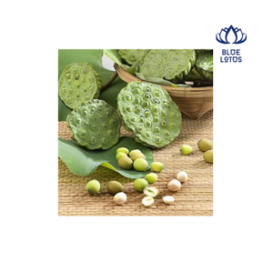 Semillas de Loto Blanco Secas de Blue Lotus Farm, Naturales de Dong Thap, Vietnam, Alta Calidad, 24 Meses de Vida Útil, Almacenamiento Congelado, Modelo Dylan - Product Image 1