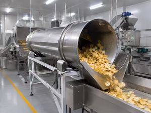 Máquina de Sazonado de Papas Fritas, Línea de Saborización de un Solo Tambor para la Producción de Papas Fritas - Product Image 6