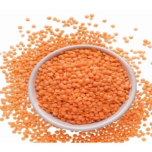 Lentejas Rojas Secas de Primera Calidad, Masoor Dal, Lentejas Rojas Enteras Naturales para Cocinar Sopas, Currys y Otros Alimentos, Suministro al por Mayor - Product Image 4