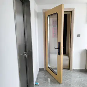 GMP Standard Large Glass Clean Window Door Magnetic Interlock Clear Door Clean Door For Cleanroom