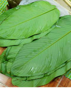 Feuilles de Dong de qualité export – Idéales pour la cuisine traditionnelle - Product Image 2
