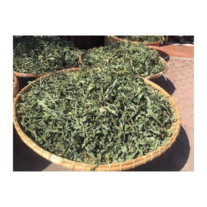 ชาดอกแดนดิไลออนธรรมชาติ ปราศจากคาเฟอีน บรรจุถุงชา รับผลิตแบบ OEM แบรนด์ส่วนตัว จำหน่ายส่งจากเวียดนาม - Product Image 6