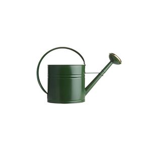Arrosoir en métal de grande capacité pour plantes de jardin, bec long, résistant à la rouille, équipement d'arrosage robuste - Product Image 1