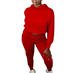 Automne nouveauté à manches longues décontracté femmes deux pièces ensemble couleur unie pantalons de survêtement et sweat à capuche ensemble Sport survêtements pour femmes 2026 - Product Image 2