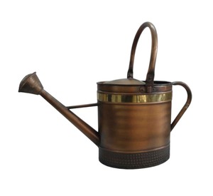 Arrosoir décoratif personnalisé pour l'entretien des plantes et des fleurs, accessoires pour la maison et le jardin - Product Image 1