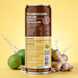 Bebida de Kombucha de Jengibre Dracontomelon, Té Fermentado Probiótico, Listo para Beber, Fabricante Mayorista OEM - Product Image 4