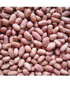 Arachides géantes biologiques blanchies brutes 100% naturelles de qualité supérieure, croustillantes, en gros, prix d'usine, en stock, vente chaude - Product Image 5