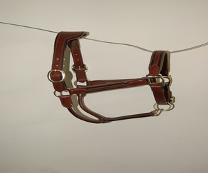 En gros, Halter pour cheval en cuir à corde, design personnalisé, rembourrage doux, ferrures en alliage, durable et confortable, pour sports équestres ERHNH-0089 - Product Image 4