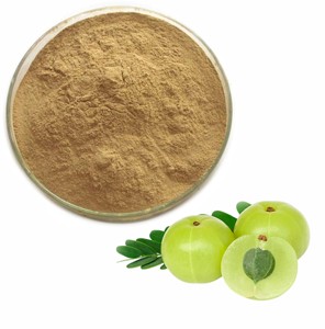 Polvo de Amla Premium, Polvo Puro de Grosella Indio, Rico en Vitamina C Natural para el Bienestar Inmunológico y el Apoyo Nutricional Diario - Product Image 6