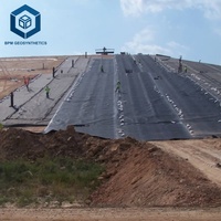 Lámina de Geomembrana de HDPE Económica, Precio por M2 del Revestimiento de HDPE para Proyectos de Contención de Vertederos