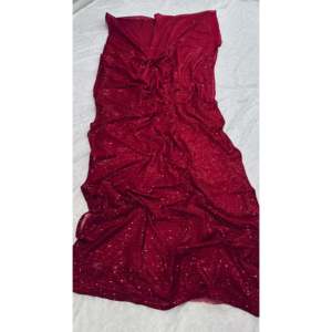 Hermoso Sari para Fiestas con Trabajo de Lentejuelas y Otros Accesorios Étnicos - Product Image 3
