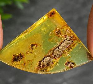 Corte de Ámbar Báltico Natural, Gema con Forma Elegante, Color Increíble, Ámbar Suelto al por Mayor para Joyería, Piedra de Nacimiento de Mayo - Product Image 1