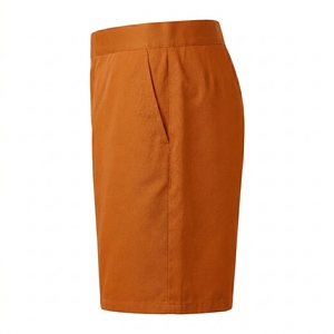 Shorts de performance décontractés pour hommes, légers, respirants, à taille élastique, pour l'été et les activités de plein air - Product Image 6