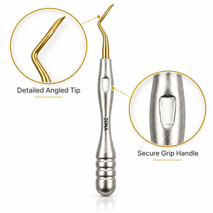 Gold Plasma Coated Curved Root Elevator Angled Tip Titanium <b>Nitride</b> Stainless Steel Tooth Extraction Instrument CE Certified - Product Image 4