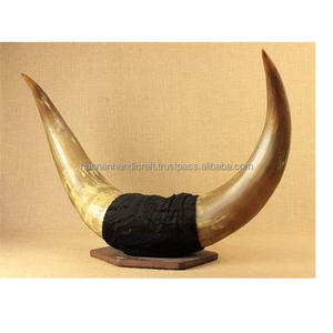 Elegante cuerno de toro montado en Búfalo Acento único para el hogar Artesanía natural Cuerno de toro montado en la pared Hecho DE LA India - Product Image 2