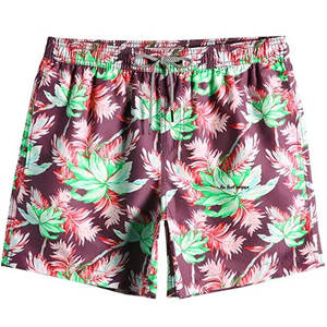 Shorts de basketball décontractés pour hommes 2026, coupe-vent, imperméables, séchage rapide, motif uni, écologiques, teinture unie, en toile, vente en gros - Product Image 1