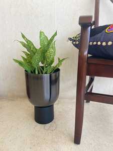 L 23 x W 23 x H 35 cm Modern Black Metal Flower Pot Minimalist Design Indoor Plant Planter Powder Coated Finish - Product Image 6