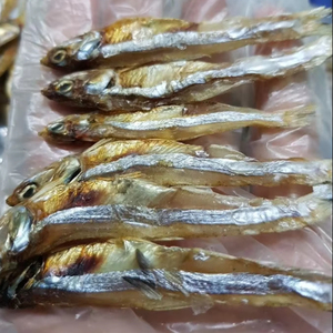 Wholesale High Quality Dried Anchovies for Soup & Cooking – Rich Umami Flavor - Product Image 1