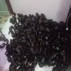 Cuenco Comedero para Mascotas de Cuerno de Búfalo 100% Natural y Saludable, de Alta Calidad, Ecológico, Mediano/Extragrande, con Capacidad de 5L - Product Image 6