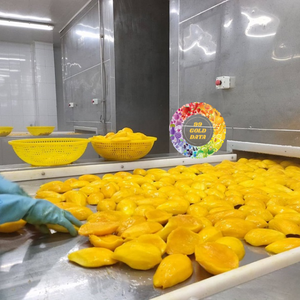 ตัวอย่างฟรี มะม่วงออร์แกนิกแช่แข็ง ราคาดีที่สุด แบบ IQF หั่นเต๋า/หั่นลูกเต๋า รสหวาน บรรจุภัณฑ์แบบก้อนใหญ่ วัสดุบรรจุภัณฑ์แบบกันน้ำ ผลไม้แช่แข็งสำหรับส่งออก - Product Image 3