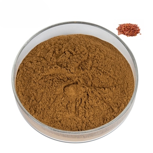 Poudre de noyau de datte de haute qualité, 100% pure, pour café et smoothies, approvisionnement en vrac, poudre de noyau de datte premium - Product Image 1