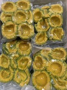 Avocat congelé du Vietnam |   Fournisseur en gros |   Grand volume |   Exportation mondiale - Product Image 4